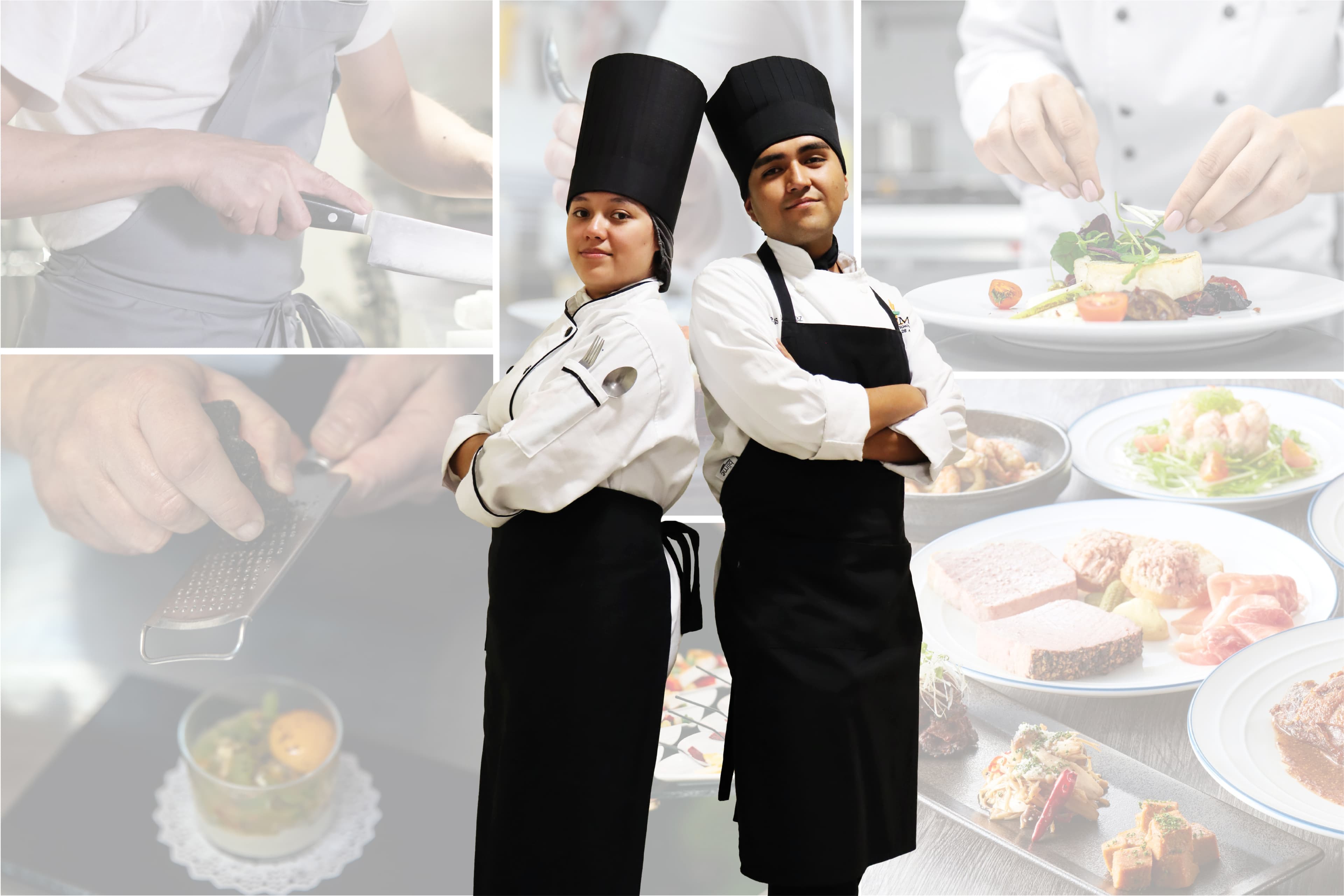 Licenciatura en Gastronomía